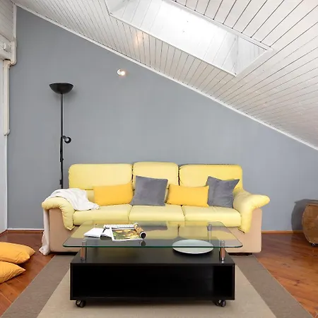 Relaxed Attic In The Old Town *